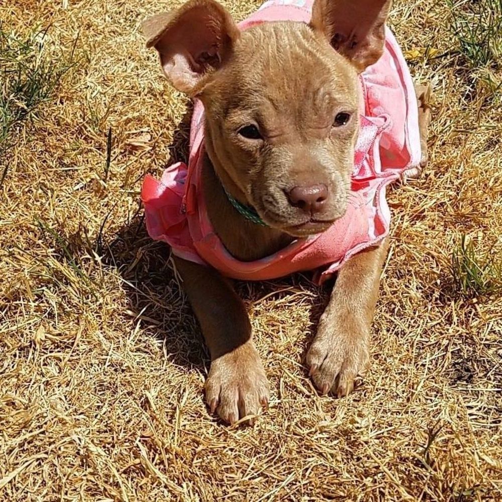 Meet your Posher, Gina